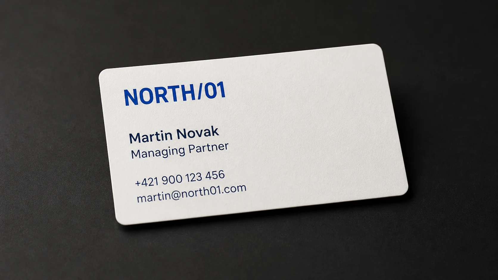 NORTH/01 business card design
